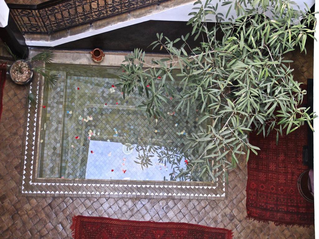 Katia Marrakesh